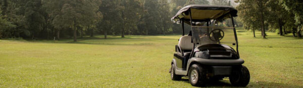 lithium ion golf cart battery conversion